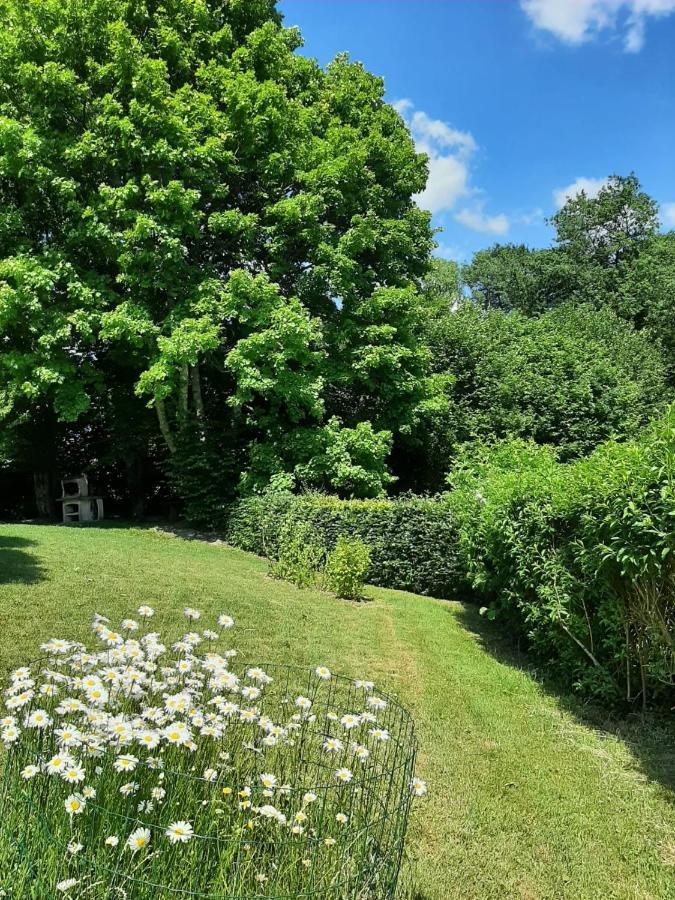 La Maison Des Marguerites Врес-сюр-Семуа Экстерьер фото