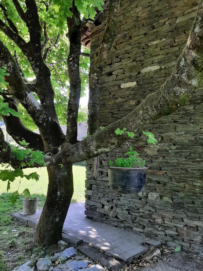 La Maison Des Marguerites Врес-сюр-Семуа Экстерьер фото